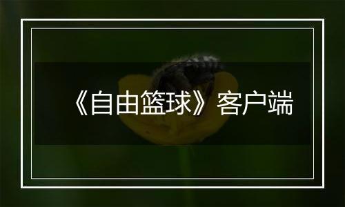 《自由篮球》客户端