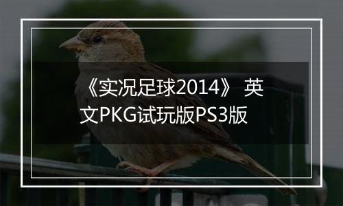 《实况足球2014》 英文PKG试玩版PS3版