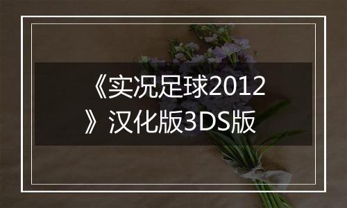 《实况足球2012》汉化版3DS版