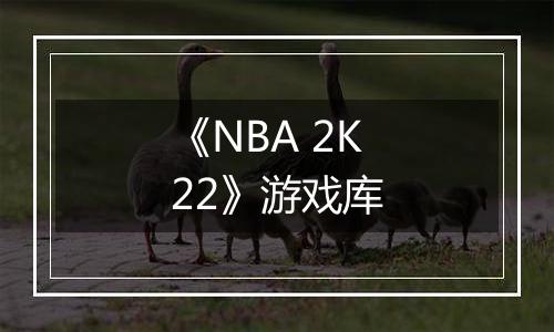 《NBA 2K22》游戏库
