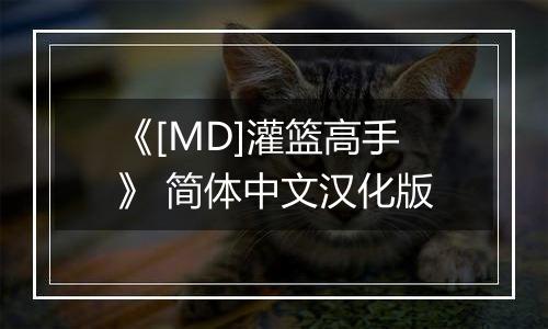《[MD]灌篮高手》 简体中文汉化版