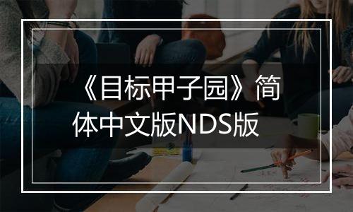 《目标甲子园》简体中文版NDS版
