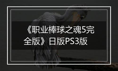 《职业棒球之魂5完全版》日版PS3版