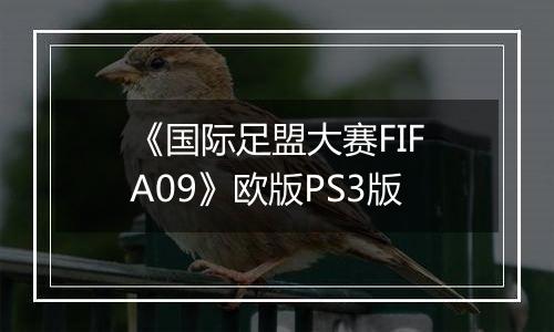 《国际足盟大赛FIFA09》欧版PS3版