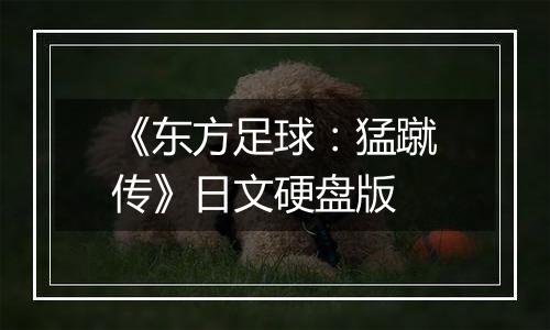 《东方足球：猛蹴传》日文硬盘版