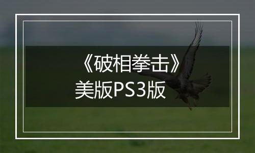 《破相拳击》美版PS3版