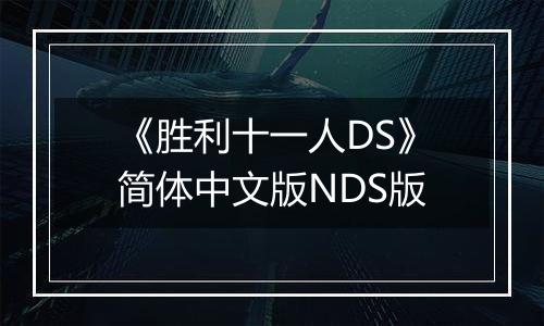 《胜利十一人DS》简体中文版NDS版