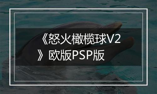 《怒火橄榄球V2》欧版PSP版