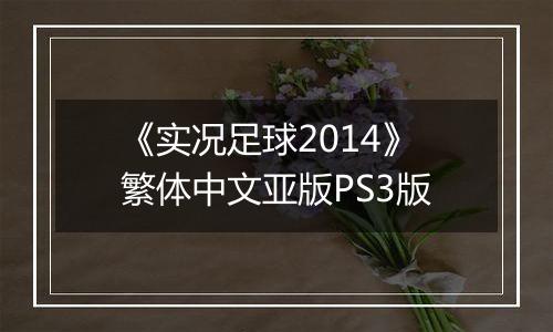 《实况足球2014》繁体中文亚版PS3版