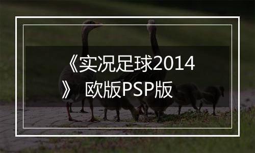 《实况足球2014》 欧版PSP版