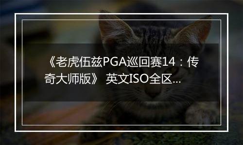 《老虎伍兹PGA巡回赛14：传奇大师版》 英文ISO全区版XBOX360版