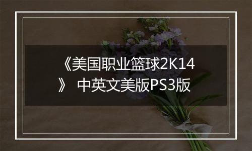 《美国职业篮球2K14》 中英文美版PS3版