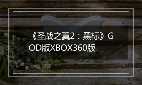 《圣战之翼2：黑标》GOD版XBOX360版