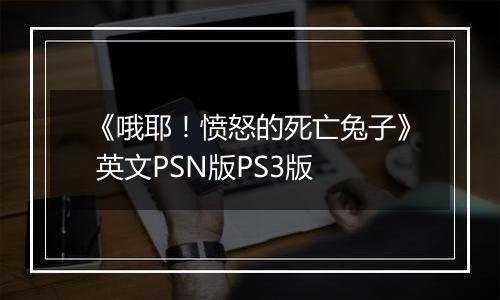 《哦耶！愤怒的死亡兔子》 英文PSN版PS3版