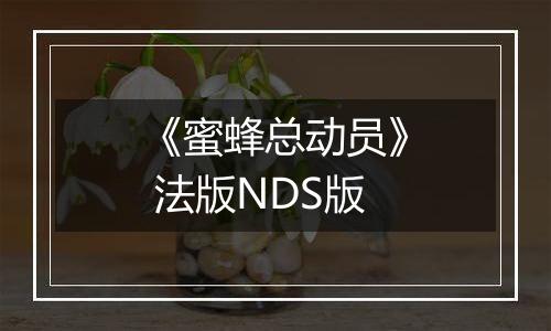 《蜜蜂总动员》 法版NDS版