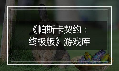 《帕斯卡契约：终极版》游戏库