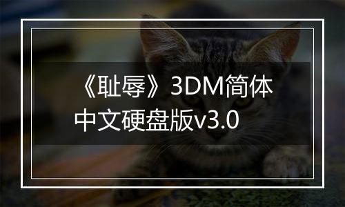 《耻辱》3DM简体中文硬盘版v3.0