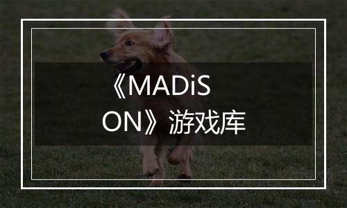 《MADiSON》游戏库