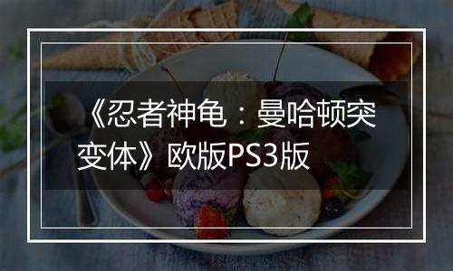 《忍者神龟：曼哈顿突变体》欧版PS3版