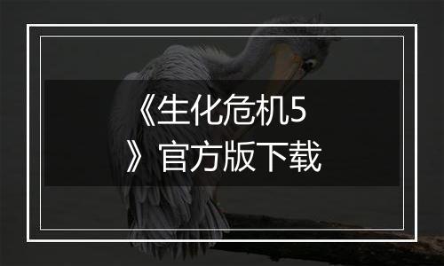 《生化危机5》官方版下载