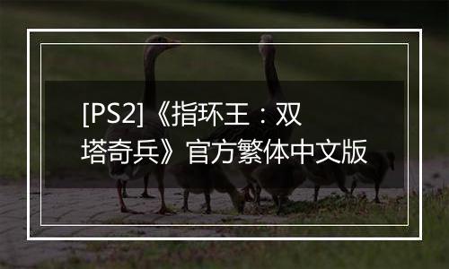 [PS2]《指环王：双塔奇兵》官方繁体中文版