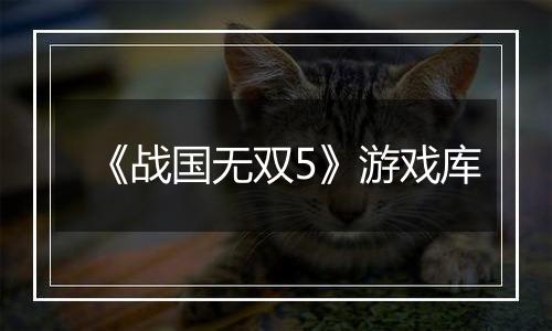 《战国无双5》游戏库