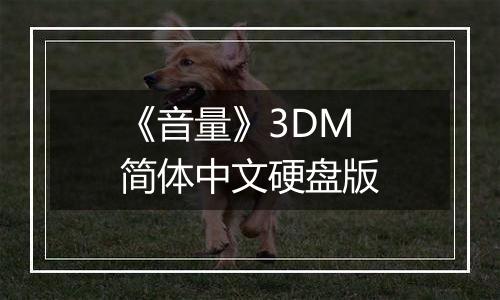 《音量》3DM简体中文硬盘版