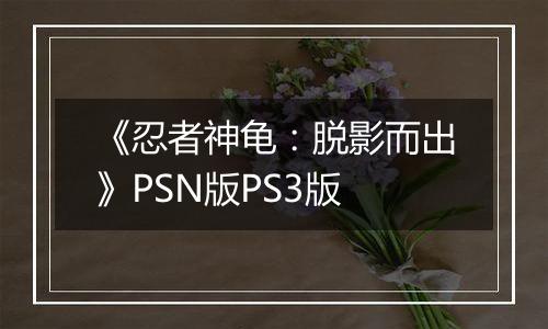 《忍者神龟：脱影而出》PSN版PS3版
