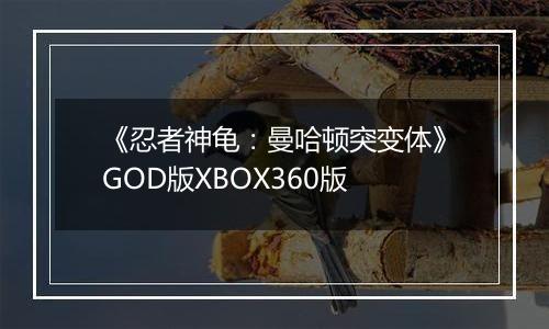 《忍者神龟：曼哈顿突变体》GOD版XBOX360版