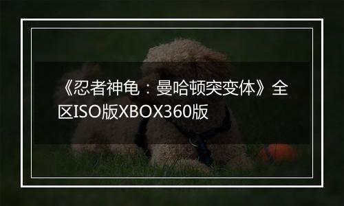 《忍者神龟：曼哈顿突变体》全区ISO版XBOX360版
