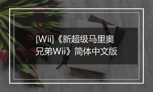 [Wii]《新超级马里奥兄弟Wii》简体中文版