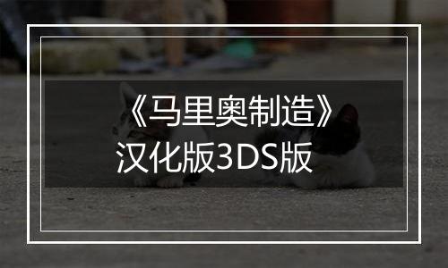 《马里奥制造》汉化版3DS版
