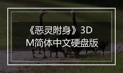 《恶灵附身》3DM简体中文硬盘版