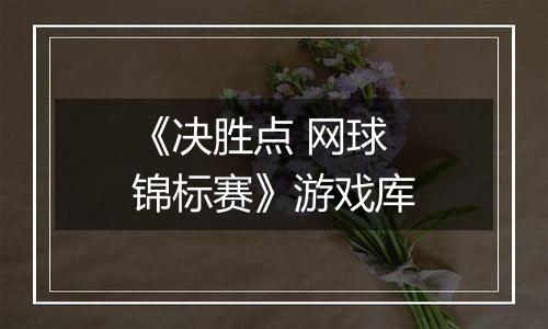 《决胜点 网球锦标赛》游戏库