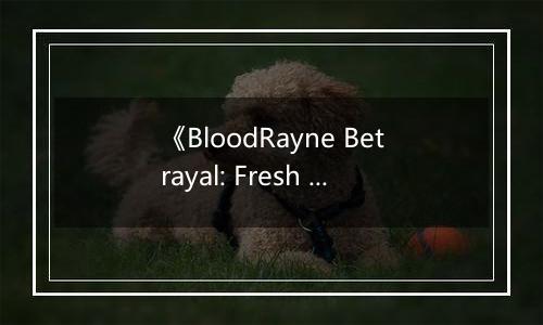 《BloodRayne Betrayal: Fresh Bites》游戏库