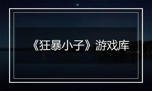 《狂暴小子》游戏库