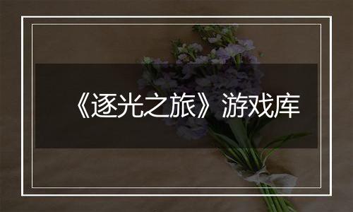 《逐光之旅》游戏库