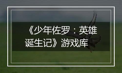 《少年佐罗：英雄诞生记》游戏库