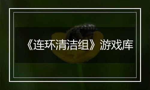 《连环清洁组》游戏库