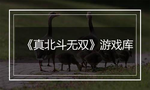 《真北斗无双》游戏库