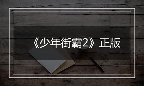 《少年街霸2》正版