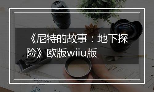 《尼特的故事：地下探险》欧版wiiu版
