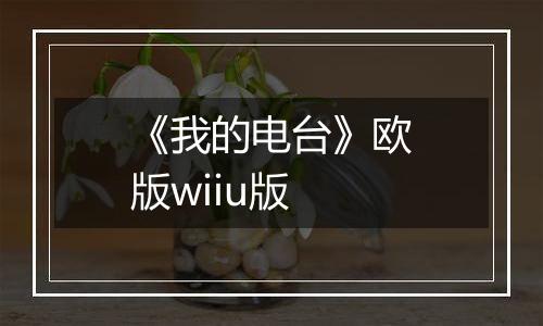 《我的电台》欧版wiiu版