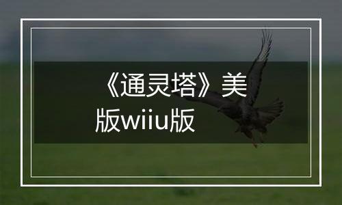 《通灵塔》美版wiiu版