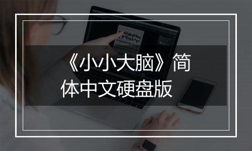 《小小大脑》简体中文硬盘版
