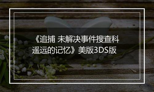 《追捕 未解决事件搜查科 遥远的记忆》美版3DS版