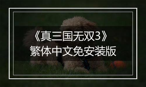 《真三国无双3》繁体中文免安装版