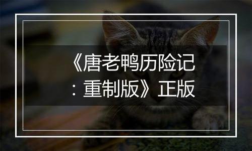 《唐老鸭历险记：重制版》正版