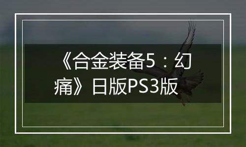 《合金装备5：幻痛》日版PS3版