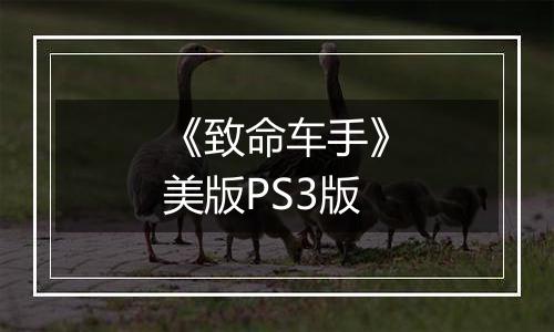《致命车手》美版PS3版